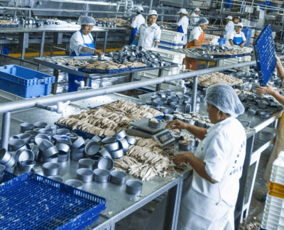 Sector manufactura crece 17.9% en 2021, superando los niveles prepandemia