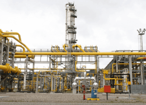 Regalías del sector hidrocarburos