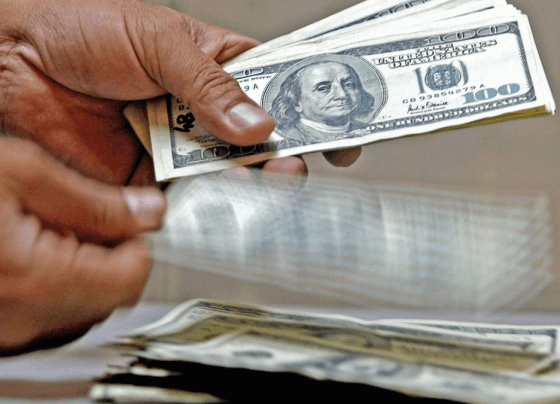 Tipo de cambio del dólar