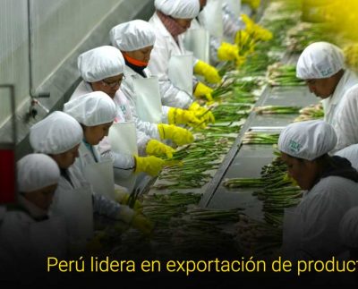 Perú mantiene liderazgo mundial en exportación