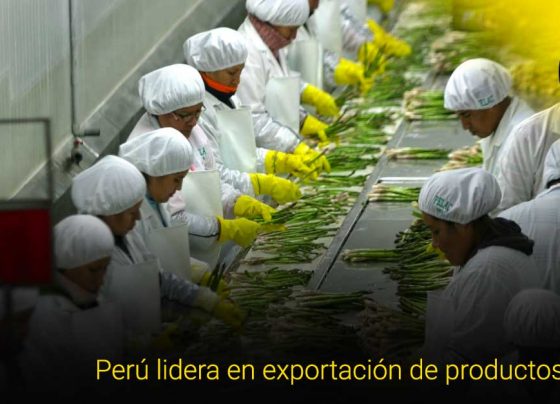 Perú mantiene liderazgo mundial en exportación