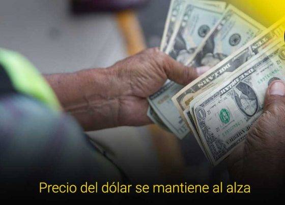 Tipo de cambio del dólar