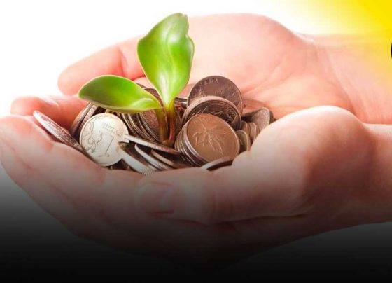 5 alternativas rentables que no puedes desaprovechar