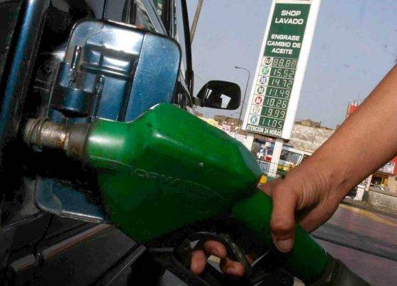 El alza del combustible genera pérdidas de 15%