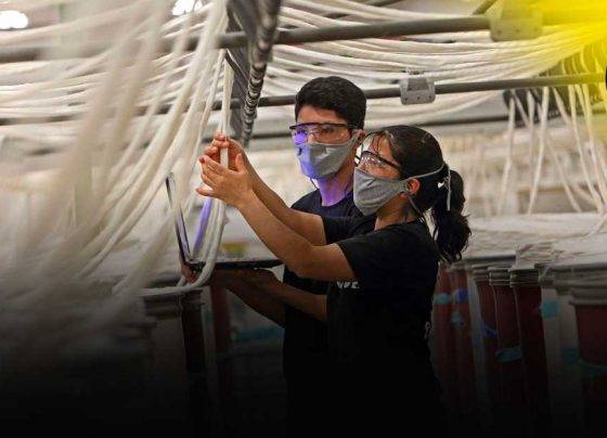 Factoring: uso de facturas negociadas crece un 40 % en el Perú