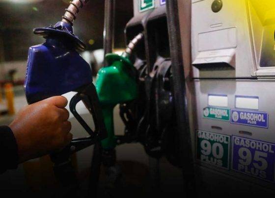 Gobierno posterga para el próximo año la simplificación de gasolinas