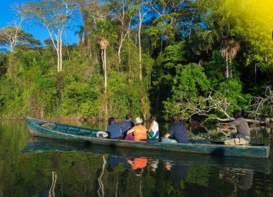 Fiestas Patrias: sigue estas recomendaciones para un viaje seguro en feriado largo