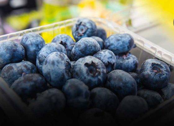 Perú se mantendría como líder mundial en exportaciones de arándanos en el 2022