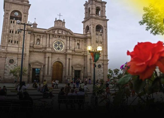 Feriado Largo: esta guía te ayudará a evitar inconvenientes en tu viaje