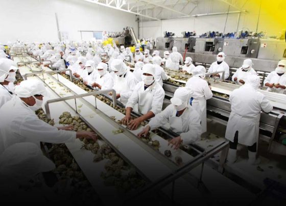 Crecimiento en el sector agroexportador